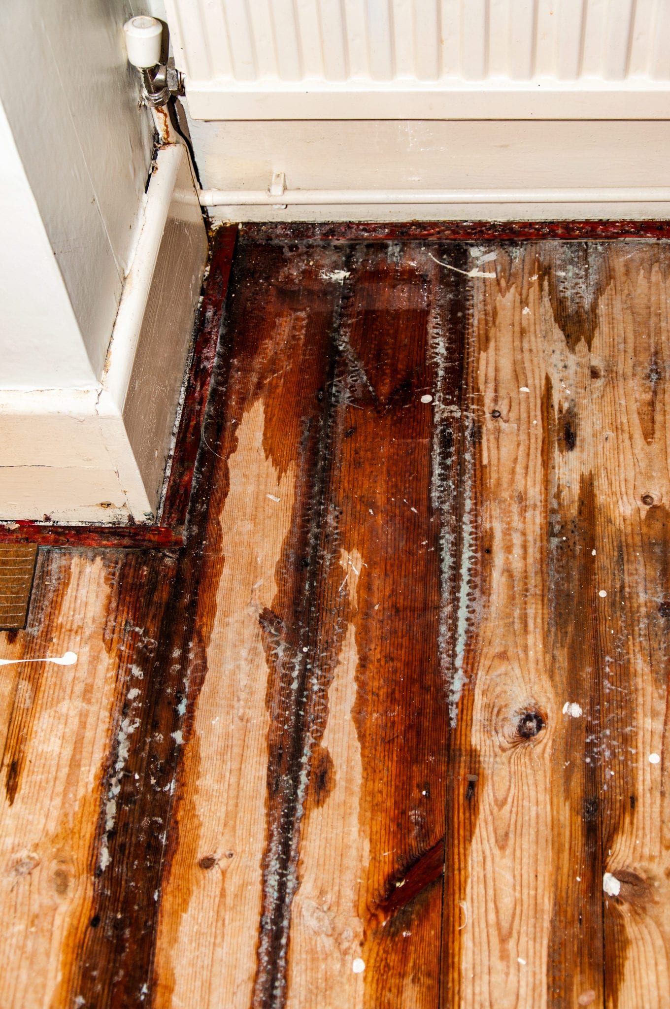Water leak from a radiator Pest controller explains something to a customer