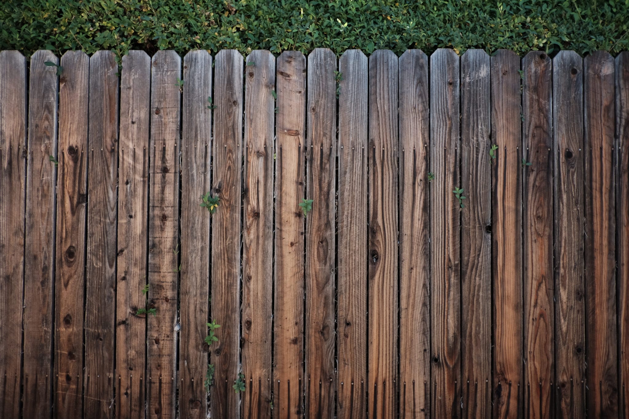 Canva-Brown-Wooden-Fence